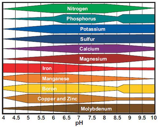 The relative availability of different nutrient elements